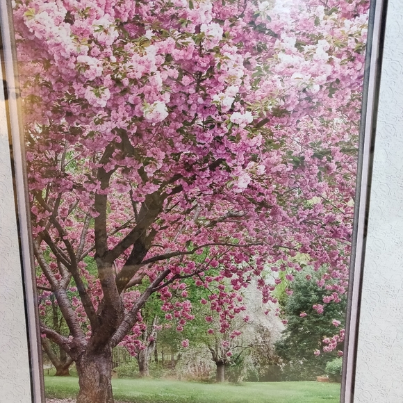 Framed Wall Cherry Blossom Poster 25 in x 31 in - Picture 2 of 4